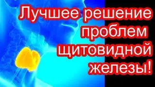 Вылечите щитовидную железу навсегда с семенами кориандра всего за 8 дней