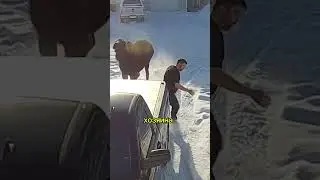 у кого нибудь есть догадки?