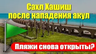 🇪🇬 Египет 2022: Сахл Хашиш после нападения акул - 🏝 пляжи снова открыты! Но есть нюансы...