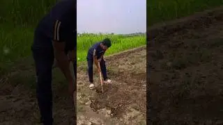 villagevlog #villagelife #