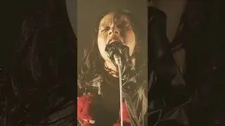 “単独公演「バイオレンス」”より『#BL』のLive映像(サビver.)を公開。#女王蜂 #QUEENBEE #女王蜂15周年 #QUEENBEE_15TH