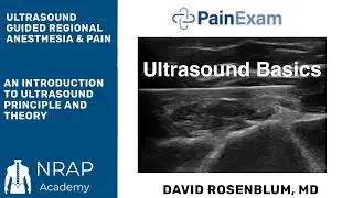 Ultrasound Basics: An Intro to Ultrasound for Regional Anesthesia, Joint Injections and Nerve Blocks