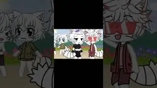 Представляю вам КрутКот и ФиолКот! 😹VS😾