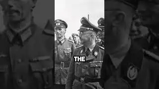 The Night Of The Long Knives