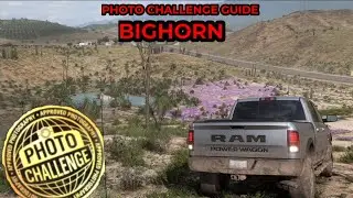 Forza Horizon 5 - Photo Challenge Guide - BIGHORN - Camera Equipment North Of Mulege