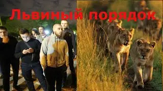 ПРОМО СЕРИАЛА / ЛЬВИНЫЙ ПОРЯДОК / ЛЕВ ПРОТИВ