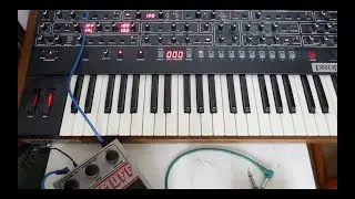 Sequential Prophet 6 & EHX Big Muff V5