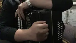 NILETTO - Любимка, Разбор, как играть на гармони