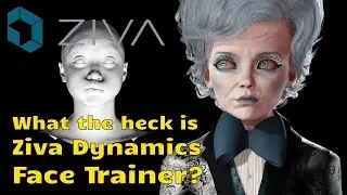 What the heck is Ziva Dynamics Face Trainer?