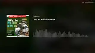 Wildlife Removal in Cary NC