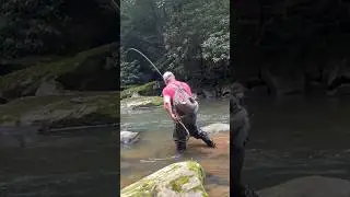Mopping Up Some Trout