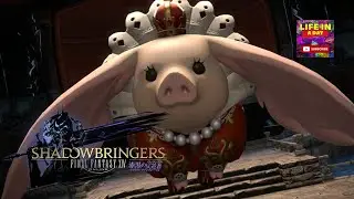 DRAVANIA // MATOYA'S RELICT // DEFEAT THE MOTHER PORXIE // FFXIV // PS5