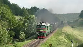 A cat hunting on the rails and a strange character who has fallen behind the train
