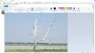 Как уменьшить объем (размер)(памяти) фотографии. Используем Paint