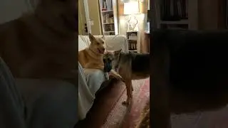 near the end is hilarious