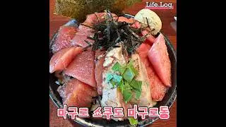 제주도 마구로쇼쿠도에서 먹은 마구로동 참치동 참치덮밥  #참치 #마구로동 #まぐろ #マグロ丼 #🍣