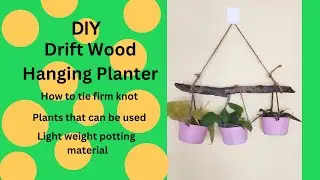DIY Planter from food container with drift wood #diyplantstand
