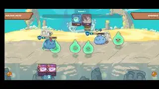 DUSK BIRD PLANT TEAM