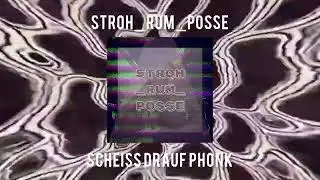 STROH_RUM_POSSE - SCHEISS DRAUF PHONK [HARDTEKK]