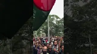 বিজয় উল্লাস, ৫ আগস্ট, ২০২৪ ❤️🇧🇩 #winner #success #genz #bdstudent #quotareformmovement #freedom