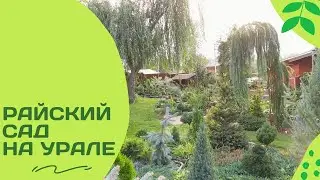 Экскурсия в супер- сад мечты. Потрясающе красивый частный сад