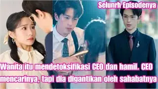 Wanita itu mendetoksifikasi CEO dan hamil. CEO mencarinya, tapi dia digantikan oleh sahabatnya!