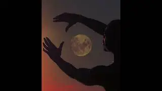 [FREE] Frank Ocean & Laufey Type Beat | Piano Ballad  "The Dawn"