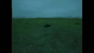 Тает Лёд (пародия)