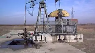 Busotina