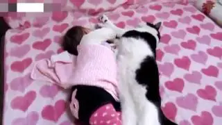Funny Cats and dogs Love Babies Compilation