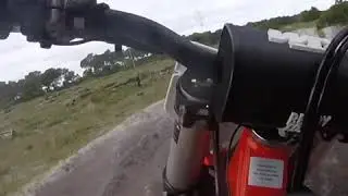 Training in the pine forrest