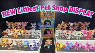 Setting Up My New G7 Littlest Pet Shop Display !