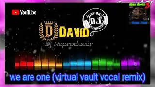 We are one (virtual vault vocal remix) Dj david