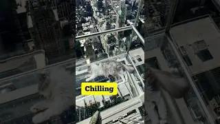Chilling out cat 🐈 #shorts #prank #happy