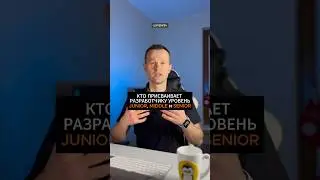 Кто присваивает разработчику уровень Junior, Middle, Senior