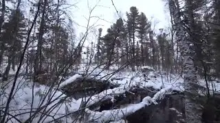 В поисках ЩУКИ первый лед 2021 г!Немецкая овчарка на рыбалке.