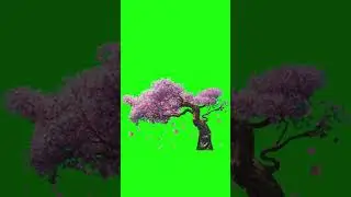 Kung Fu Panda 4 Green Screen video effects overlay 