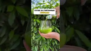 Мгновенная матча 🍵 #идеибизнеса #идеидлябизнеса #бизнесидеи #бизнес #бизнесмен
