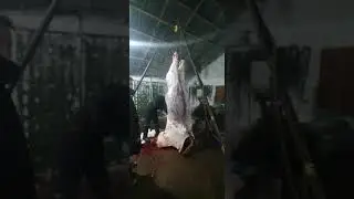 Тринога для забоя и снятия шкуры