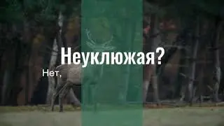 Project Zomboid смешные моменты