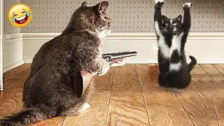 Funny animals - Funny cats and dogs - Funny animal videos 2024🤣