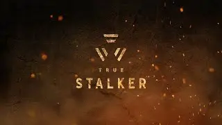 Все четыре концовки игры TRUE STALKER.