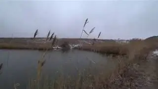 ВЛОГ #25 АРЕНДА ВОДОЁМА 2020 ВИДЕО 4К