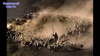 Fotono21 Fotoğraf Derneği Dünya Kupası Fotoğraf Yarışmasında