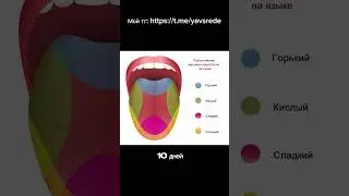Факты об организме #медицина #история #часть_1 #history #факты #наука #душа #новости