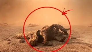 Hogyan tűntek el a Földről a fajok?