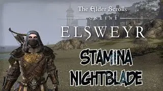 TESO STAMINA NB | КВЕСТЫ, ДАНЖИ, ДОРОГА ДО 50