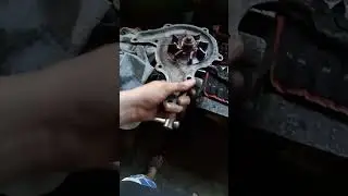 газ 53 помпа