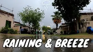 Beautiful Rain and Soothing Weather with light music in the background, Sindh- Pakistan