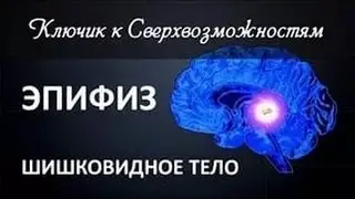 Эпифиз Шишковидное тело Ключ к Cверхвозможностям
